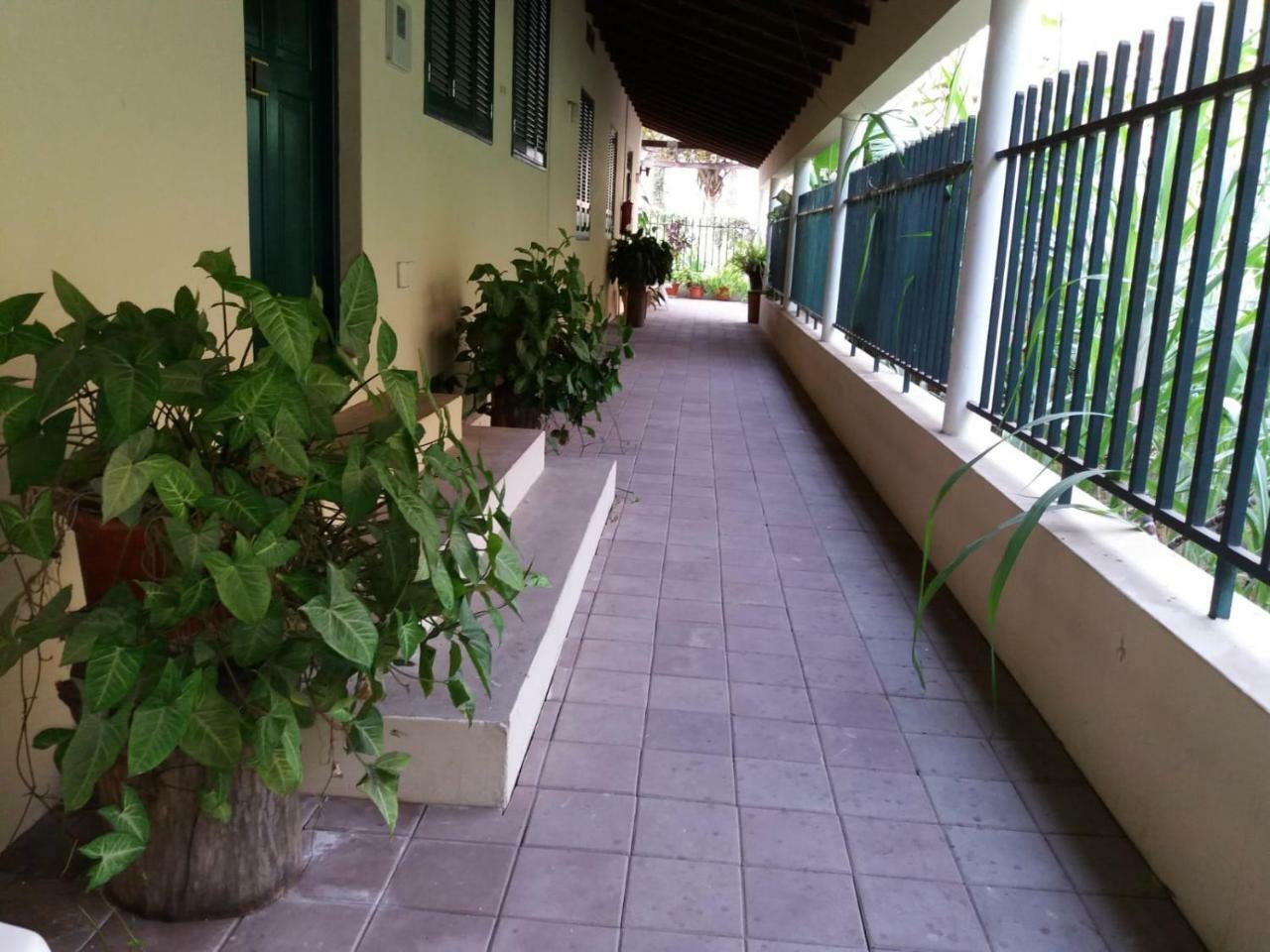 Ribeira Grande Country House Cha de Arroz Exterior foto