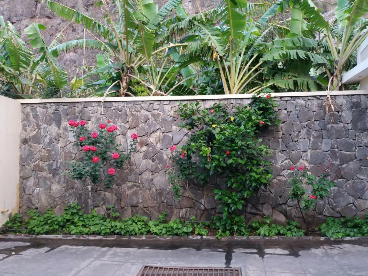 Ribeira Grande Country House Cha de Arroz Exterior foto