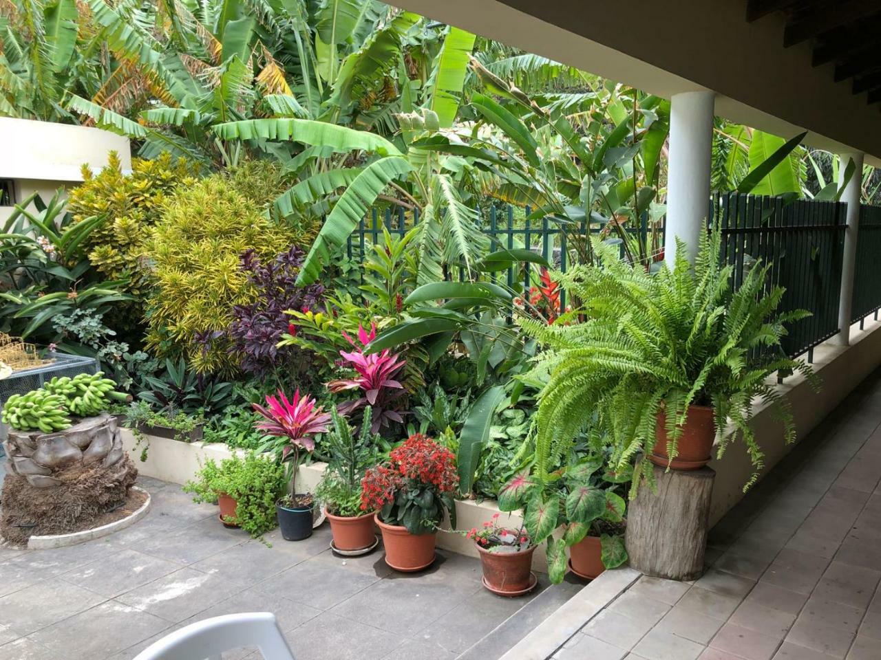 Ribeira Grande Country House Cha de Arroz Exterior foto