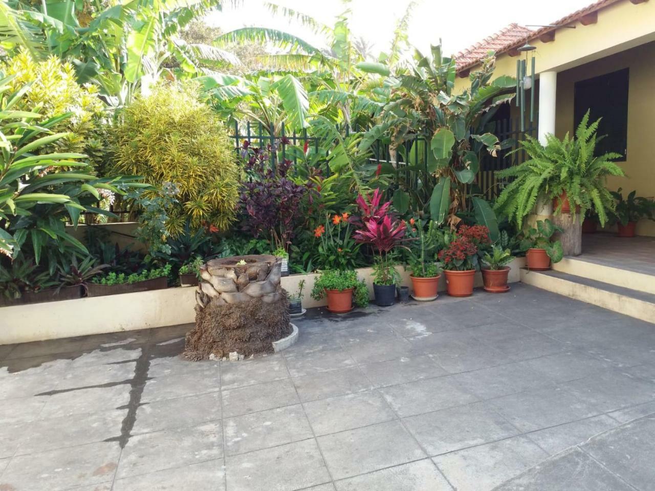 Ribeira Grande Country House Cha de Arroz Exterior foto