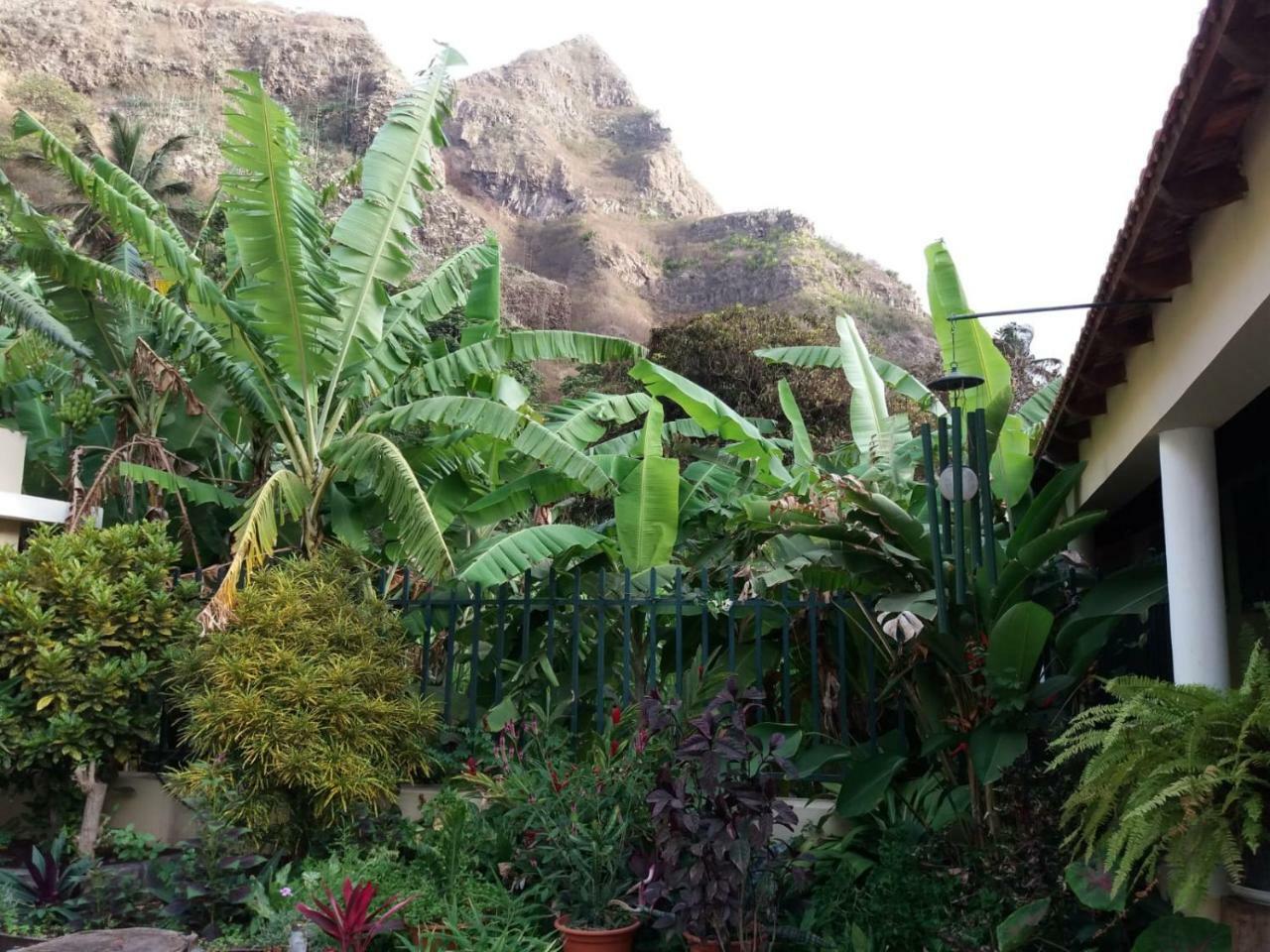 Ribeira Grande Country House Cha de Arroz Exterior foto